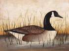Canadian Goose Art Print