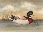 Mallard Art Print