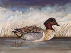 Green Wing Teal Art Print
