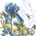 Blue Botanica IV Art Print