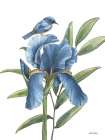 Blue Botanica VII Art Print