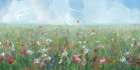 Field of Flowers No Mountains Art Print