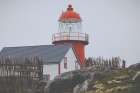 Newfoundland Foggy Morning Art Print
