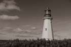 Low Point Lighthouse Art Print