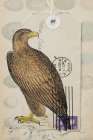 American Hawk Art Deco Print