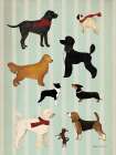 Dog Days Montage I Art Print
