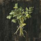 Rustic Herbs I Art Print