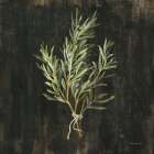 Rustic Herbs II Art Print