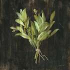 Rustic Herbs IV Art Print
