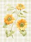 Harvest Wishes V Art Print
