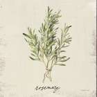 Rustic Herbs II Neutral Art Print