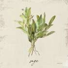 Rustic Herbs IV Neutral Art Print
