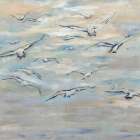 Birds and Wispy Clouds Art Print