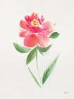 Garden Gift II Art Print
