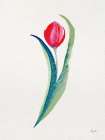 Garden Gift III Art Print