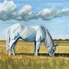 White Horse Grazing Art Print