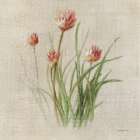 Chives Art Print
