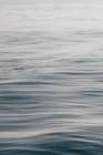 The Silent Sea II Art Print
