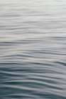 The Silent Sea IV Coastal Print