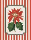 Christmas Vintage Botanical II Art Print