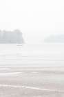 Misty Morning I Art Print
