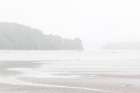 Misty Morning II Art Print