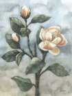 Magnolia Branch Art Print