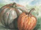 Pumpkin Pair Art Print