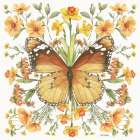 Butterfly Art II Art Print