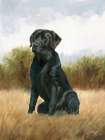 Hunting Dog Lab Art Print