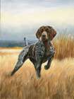 Hunting Dog Pointer Art Print