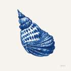 Blue Shell II Art Print