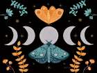 Moon Moth I Art Print