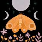 Moon Moth V Art Print
