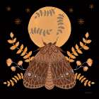 Moon Moth VI Art Print