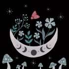 Moon Moth VII Art Print