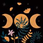 Moon Moth VIII Art Print