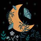 Moon Moth IX Art Print