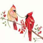 Winterberry Tidings I Art Print