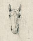 Horse Sketch on Burlap Art Print