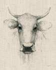 Cow Sketch on Burlap Art Print