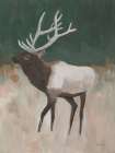 Elk Country Art Print