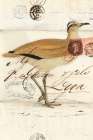 Courser Art Print