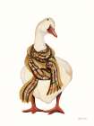 Goose with Scarf Art Print