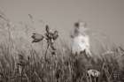 Nova Scotia Coast Sepia Art Print