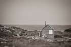 Newfoundland Historic Buildings Sepia Art Print