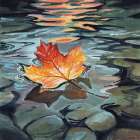 Maple Leaf Floating In a Stream Art Print