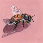 Simple Little Bee Art Print