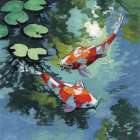 Two Koi Fish In Pond Art Print