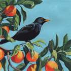Black Bird On Orange Branch Art Print